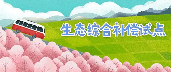 1647493914753232.jpg 013.jpg